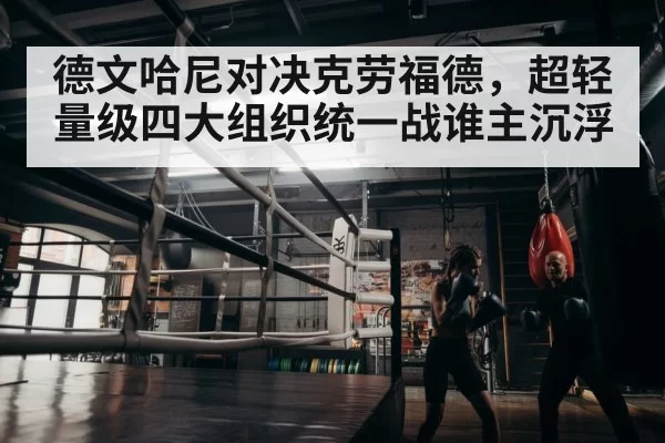 boxer training