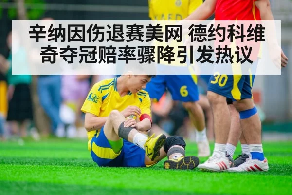 辛纳因伤退赛美网 德约科维奇夺冠赔率骤降引发热议